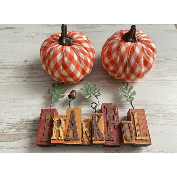 Harvest “THANKFUL” Picture Holder + 2 Decorative Pumpkins - Picture 2 of 3
